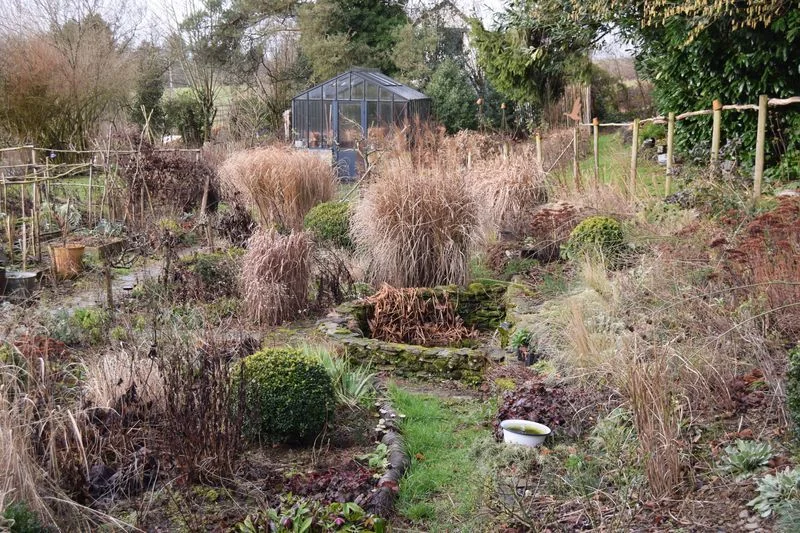Jardin délaissé avec un bassin, des herbes sèches et une serre au fond.